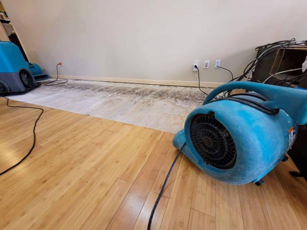 Professional Basement Flood Cleanup technician working in Arverne, NY